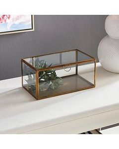 Vitrina de cristal con marco de latón para almacenamiento de cristales y fósiles - Product Image 4