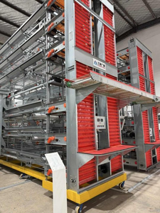 Sistema de Jaulas Tipo H <span class=keywords><strong>para</strong></span> Automatización Avícola Personalizable, Alimentación de <span class=keywords><strong>Gallinas</strong></span> Ponedoras, con Buen <span class=keywords><strong>Precio</strong></span> - Product Image 3