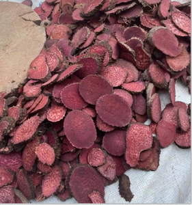 Rodajas de Raíz de Eleutherococcus Trifoliatus Silvestre Vietnamita, Calidad de Exportación, Empaque a Granel, Procesamiento OEM, Fábrica Vietnamita - Product Image 4