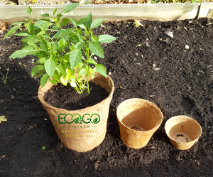 Eco2go Vietnam Bloc de tourbe de coco à faible teneur en EC pour culture hydroponique en serre avec une bonne aération et une structure naturelle du sol - Product Image 5