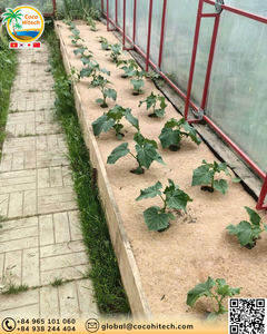 Manta de Fibra de Coco 100% Natural de 35 cm de la Mejor Calidad para Retención de Humedad, Control de Malezas, Protección de Árboles, Decoración de Plantas COCO HITECH - Product Image 5