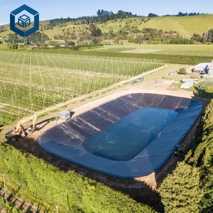 Membrana Impermeabilizante de HDPE de Excelente Impermeabilidad, Geomembrana de HDPE de 2 mm para Contención de Estanques de Residuos - Product Image 2
