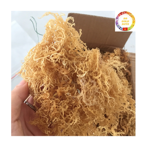 Musgo Marino a Granel |   Algas Marinas Secas Naturales |   Eucheuma Cottonii |   Proveedor Mayorista Exportador Vietnam - Product Image 1