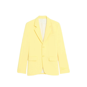 Blazer sur mesure OEM pour femme grande taille, col cranté, deux boutons, jaune uni, manches longues, style bureau/sororité, vente en gros - Product Image 1