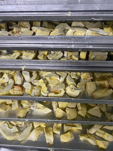 Fabricante Mayorista de Durian Liofilizado de Vietnam, OEM ODM, Snack de Fruta Tropical, Calidad de Exportación - Product Image 3