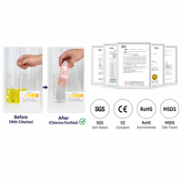 Pommeau de Douche Filtrant Parfum Château des Bois avec Filtre Vitamine C OEM ODM Marque Privée Ensemble Intégré Cinq Modes pour Salle de Bain