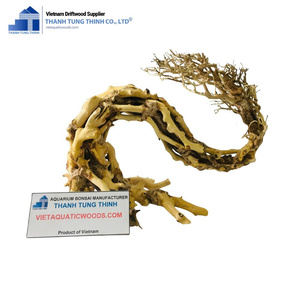 Decoración de Acuario de Madera Flotante Natural Thanh Tung Thinh, Forma Irregular, Adorno Ecológico para Peceras, para Acuarios de Interior - Product Image 3