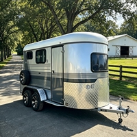 Remorque porte-chevaux 2HSL-L400 personnalisée pour 2 chevaux, chargement direct, avec armoire de rangement, boîte à selles, aérations de toit, trappe de toit et porte-rampe