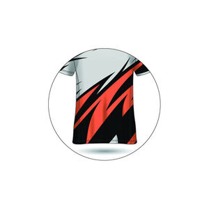 Vente en gros de t-shirts pour hommes de haute qualité, imprimés par transfert thermique, coupe classique, col rond, manches courtes, respirants, séchage rapide, design personnalisé - Product Image 3