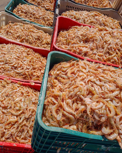 Camarones Pequeños Premium para Alimentación Animal – Fuente Natural de Proteína de Vietnam - Product Image 5