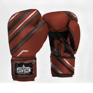 Équipement de boxe de haute qualité - Product Image 1