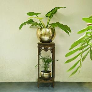 Elegante Macetero de Latón Dorado para Decoración Interior Contemporánea, Ideal para Decoración de Hogar, Oficina, Hotel y Restaurante, al por Mayor - Product Image 5
