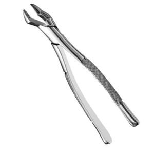 Pinzas de Extracción de Molares Superiores 10S, Instrumento Quirúrgico Dental de Acero Inoxidable, Herramienta Dental Dentada para Extracción de Dientes - Product Image 2