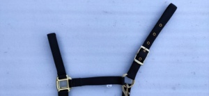 Best Wholesale Price for Durable PVC Horse Show <b>Halter</b> with Lead Chain Full Cob for Pony Size Options - Product Image 3