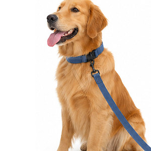 <b>Custom</b> Color & Size Solid Neoprene Adjustable Breathable <b>Collar</b> Leashes with D Ring Buckle for <b>Dogs</b>-High Quality - Product Image 6