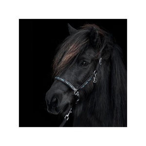 Licou de cheval en nylon de haute qualité avec chaîne Hot Fix Équipement en cuir de bonne qualité pour chevaux - Product Image 2