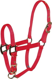 Cabestro de caballo de barbilla ajustable ODM de fábrica, pony, mazorca, morado completo, rojo, naranja. Cabestros de sillín inglés verde, azul marino de India - Product Image 5