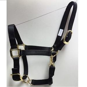 Brida de Cuero Duradera con Logotipo Personalizado para Caballos de Equitación Western, con Costuras Decorativas, para Uso en Establos y Carreras, Ropa Personalizada - Product Image 4