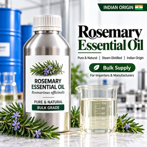 Hojas Botánicas de Romero Secas de Alta Calidad, Rosmarinus Officinalis L, Fabricante Mayorista de la India - Product Image 1