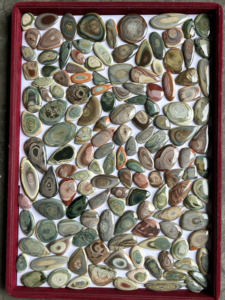 Nuevo lote de piedras preciosas sueltas cabujón de jaspe imperial natural a la venta - Product Image 4