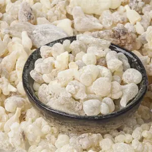 Highest Bulk Selling Best Aromatherapy Gum Guggul Pure Resin Loban Moderate Size Male Loban Frankincense at Good Price