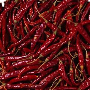 Teja พริกแดงมีก้านพร้อมส่งออก - Product Image 4