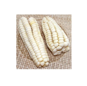 ข้าวโพดขาวคุณภาพดีที่สุด ขายส่งจำนวนมาก เกรดพรีเมียม พร้อมส่ง บริการ OEM ผู้ผลิตส่งออก - Product Image 5