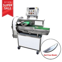 Industrie Grade Groenten Machines Snijmachine Groente Fruit Slicer Banaan Chip Snijmachine