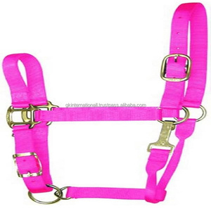 Licou de cheval en Nylon à Double couture 100% en 3 couleurs vives avec matériel réglable en laiton plaqué de haute qualité - Product Image 4