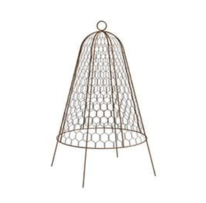 Cage de protection pour plantes en fer - Product Image 6