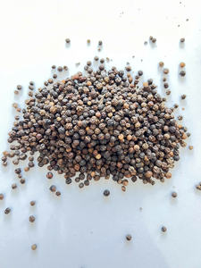 Pimienta Negra Cruda Seca [Keith Vilaconic] 500 G/L Calidad ASTA Premium Estándar Vietnamita Calidad de Exportación Precio Competitivo - Product Image 6