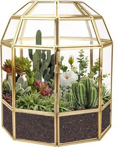 Terrarium pour petites plantes de haute qualité, décoration d'intérieur, fournitures pour terrarium, maison pour plantes en verre DIY, terrarium hexagonal à vendre - Product Image 3