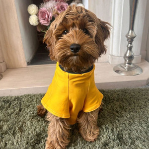 Custom Logo Dog Sport Mesh Animal Print Premium Soft Breathable Dresses for Small Medium Large Dogs - Product Image 4