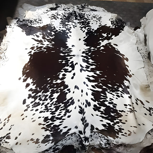 Clean white base with large black patches on Mid Side