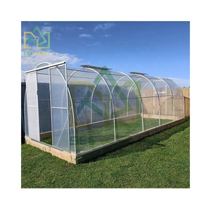 <span class=keywords><strong>Serre</strong></span> couverte de film plastique avec porte coulissante <span class=keywords><strong>Serre</strong></span> de jardin étanche pour légumes et fleurs - Product Image 1