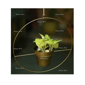 Macetero Colgante de Pared de Hierro con Diseño Maravilloso, Tamaño Personalizado, Forma de Corazón, para Decoración de Jardín - Product Image 5