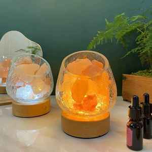 Lámpara de Sal del Himalaya con Forma de Animal Personalizada, Marco Metálico, Lámpara de Noche de Sal Natural, Alimentación USB, LED Regulable, Ra80, Control por Botones - Product Image 3