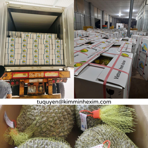 Segmentos de Durian Congelados IQF de Primera Calidad de Vietnam - Product Image 5