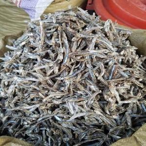 Anchois séchés et salés naturels de haute qualité - Approvisionnement en gros pour l'exportation avec des prix de gros compétitifs - Product Image 1