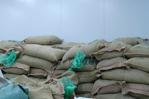 HANCOFFEE Grains de café vert Robusta de haute qualité Lam Dong |   100% Robusta |   Matières premières en vrac |    Maturité 2026 |   Approvisionnement à l'exportation - Product Image 2