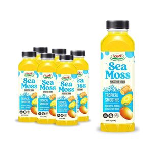 Nuevo Producto: Bebida de Smoothie de Musgo Marino, 3 Sabores, Botella PET de 500 ml, Refrescos, Fabricante OEM/ODM, Exportación, Mejor Precio, Muestra Gratuita - Product Image 1