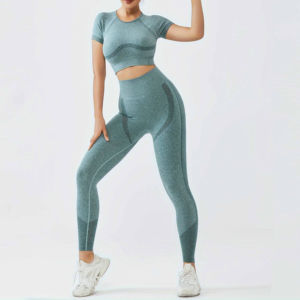 Service OEM Pantheraint, vêtements de fitness hautement élastiques, ensemble de vêtements de sport sans couture, leggings ajustés, ensemble deux pièces pour femmes, évacuation de l'humidité - Product Image 1