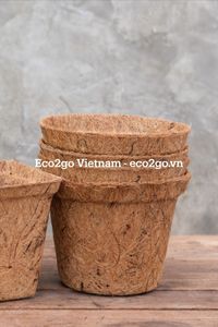 Pots en fibre de coco biodégradables – Pots de culture en fibre de coco naturelle pour semis et plantes de pépinière Eco2go Vietnam - Product Image 2