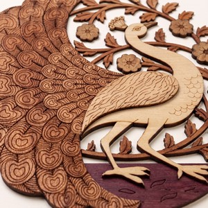 <b>Framed</b> Wooden Peacock <b>Wall</b> Art Carved Modern <b>Design</b> Plant Pattern Multifunction Storage Decor for Living Room - Product Image 3