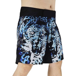 Nouvelle Arrivée 2026 – Vêtements d'entraînement de combat pour adultes – Shorts MMA personnalisés avec votre logo pour hommes – Vente en gros par TEENS INDUSTRIES - Product Image 3