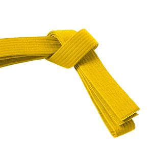 Ceinture articulée avec broderies personnalisées pour homme, accessoire d'arts martiaux et karaté, disponible dans toutes les tailles, plusieurs couleurs, livraison gratuite - Product Image 4