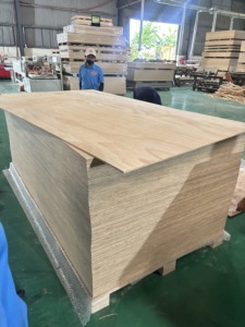 Grado AA 12/15/18mm Venta caliente de madera contrachapada de pino para encofrado de muebles de construcción 4x8 Modelo E0 fabricado proveedor vietnamita - Product Image 6