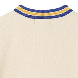 Sweat-shirt en chenille Sigma Gamma Rho pour femme, bleu neutre, avec poche, col rond, pull décontracté à manches longues - Product Image 5