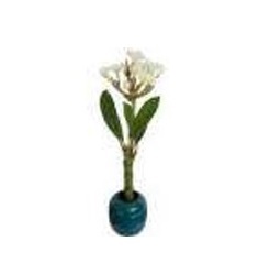 ต้นไม้ประดิษฐ์ดอกลีลาวดีขายส่ง สินค้าตกแต่งบ้านทันสมัยไม่ซ้ำใคร - Product Image 2