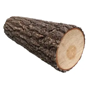 Mejor precio Troncos Madera de madera de teca Ipe Troncos etc/Troncos de madera de roble/Troncos de eucalipto Madera de teca-Troncos redondos Troncos de madera aserrada